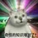 有朋友问我，说自己总是莫名的害怕，晚上不敢一个人待着，怎么办。恐惧这种东西，根子