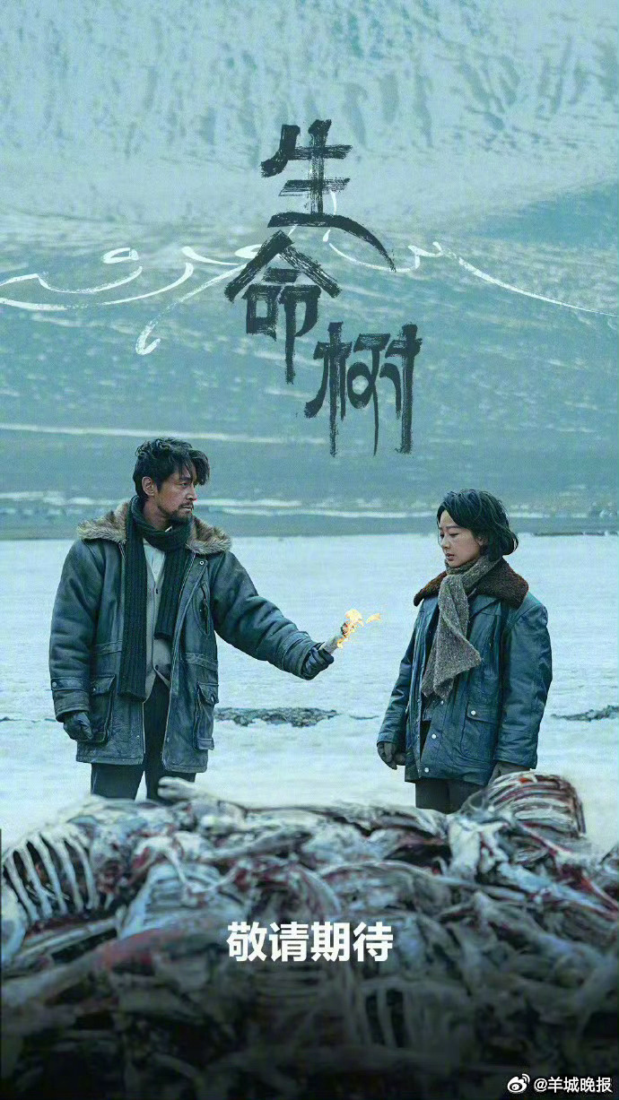 【2026在播剧舆情热度均值TOP10，你在追哪部？】在播剧舆情热度简单来说是一