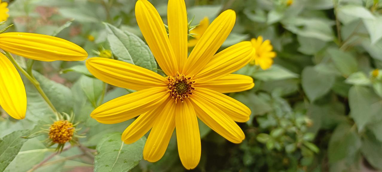 这条乡间小路和王维诗中的“行到水穷处，坐看云起时”描述的地理地貌毫无关联，但它迂