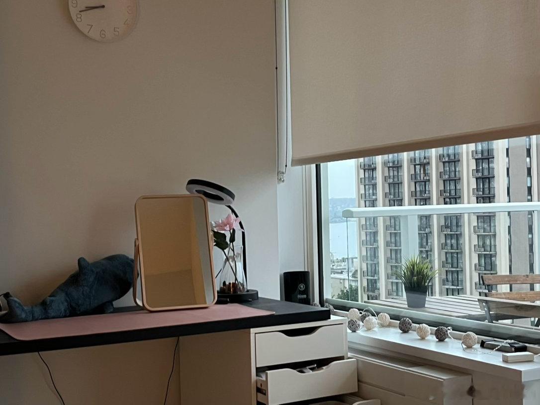 我终于住上了梦寐以求的两室一厅，有了独立的工作空间。然后发现。我不想工作。 