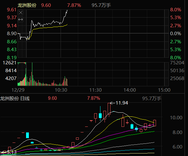 龙洲股份002682加速了，大家一定要好好拿着，上周我不走就是等出监控，跟上的都