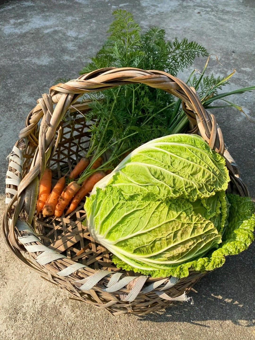 以前觉得农村生活枯燥，现在成了向往的生活