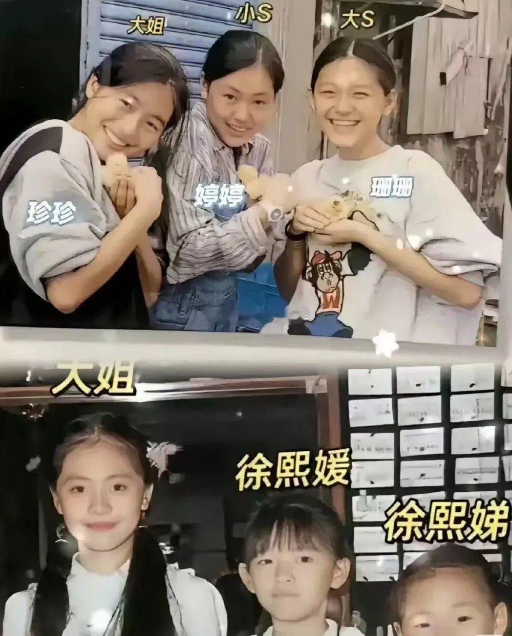 徐家三姐妹里，大姐才是闷声发大财的聪明人吧。以前大小S在节目里说过， 大姐是被求