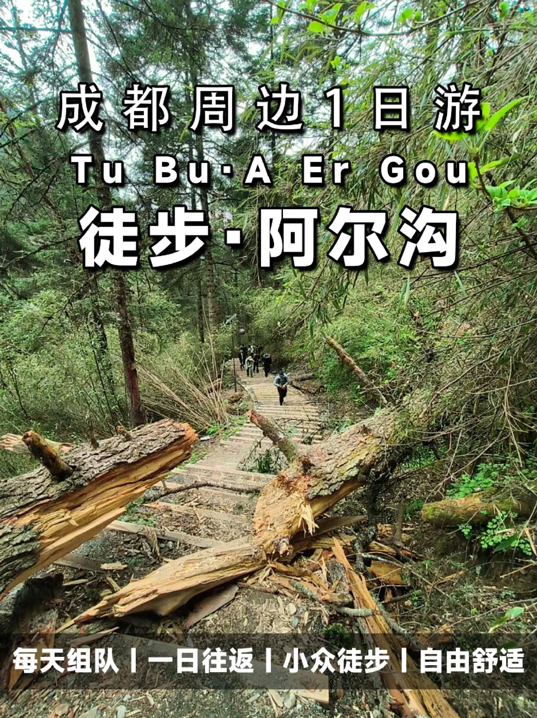 成都2小时抵拢📌都市的生态秘境📍阿尔