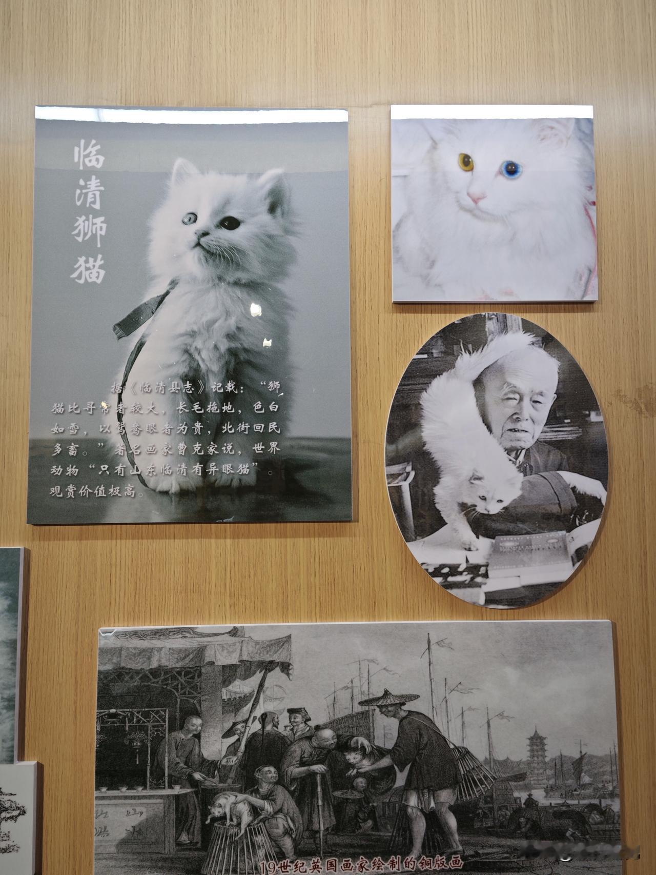 盘点运河古城山东聊城临清的文化历史名片。
 
临清地处冀鲁交界，是京杭大运河上享