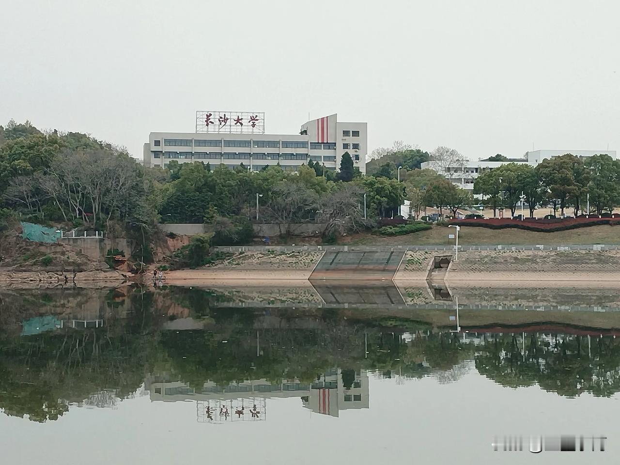 今天在长沙大学的后面，浏阳河边散步，浏阳河水清澈见底，河岸两边鲜花竞相争艳，春天