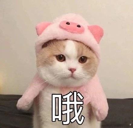 突然发现大家的吃商到了极致 大家早就跳出“能吃饱就行”的思维，讲究的是：食材适配