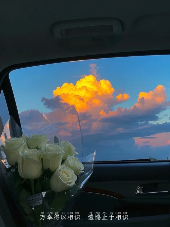 “不计较也不原谅，再见！”——晚安 