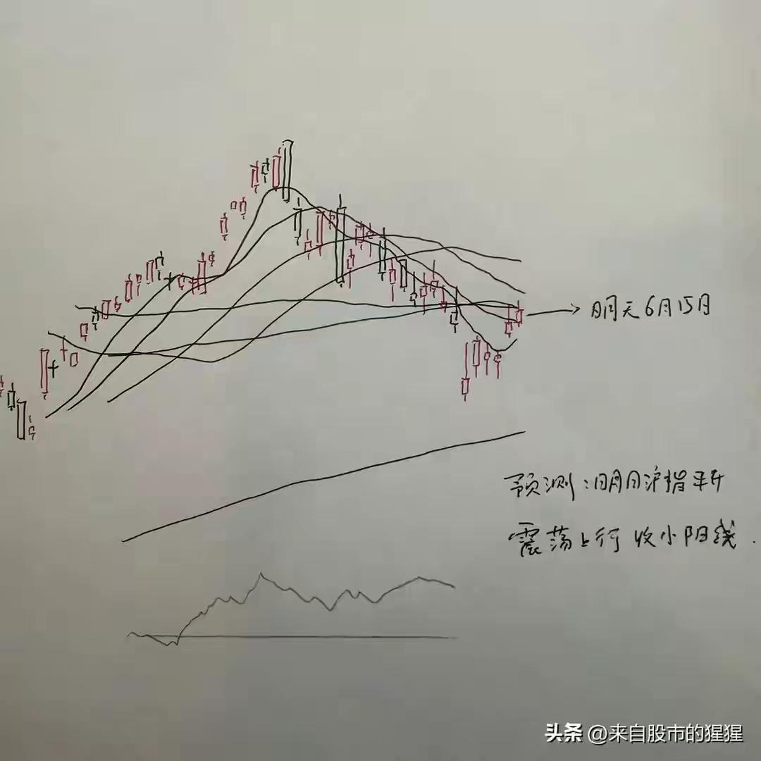 今天是6月15日（周一），开市在即，股评师们看涨跌不一，看看今天的走势预测：
?