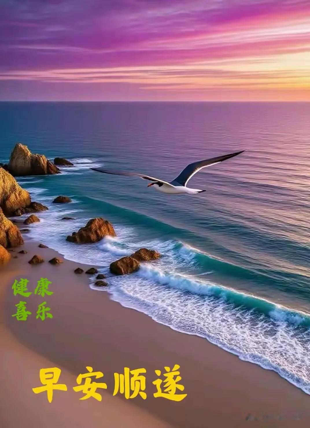 收下清晨的温柔，愿好运伴随你一整天。