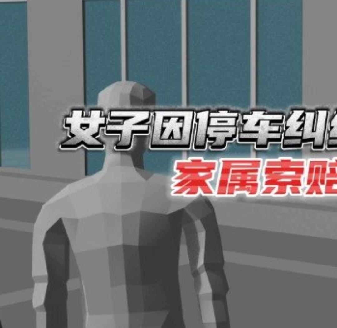 3D还原女子因停车纠纷摔倒身亡

就因为一个车位，一场口角，最后竟酿成一条人命，