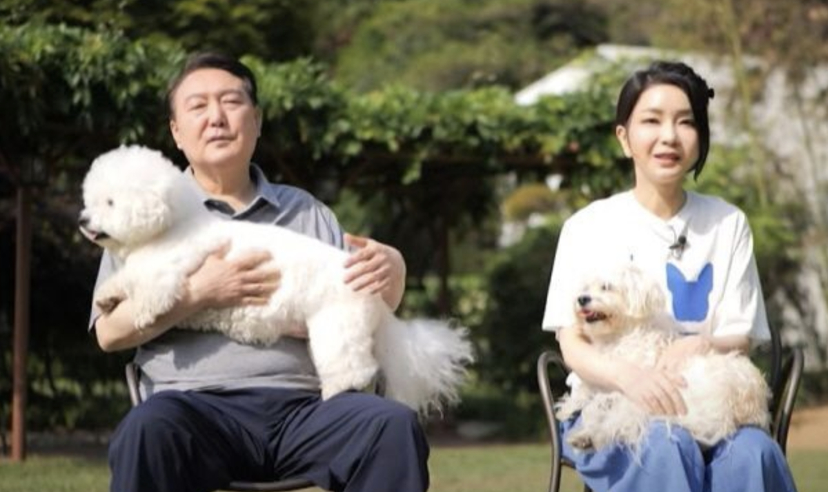 【韩执政党议员称前总统#尹锡悦夫妇曾计划带爱犬访问法国#】#尹锡悦曾要求大使馆给
