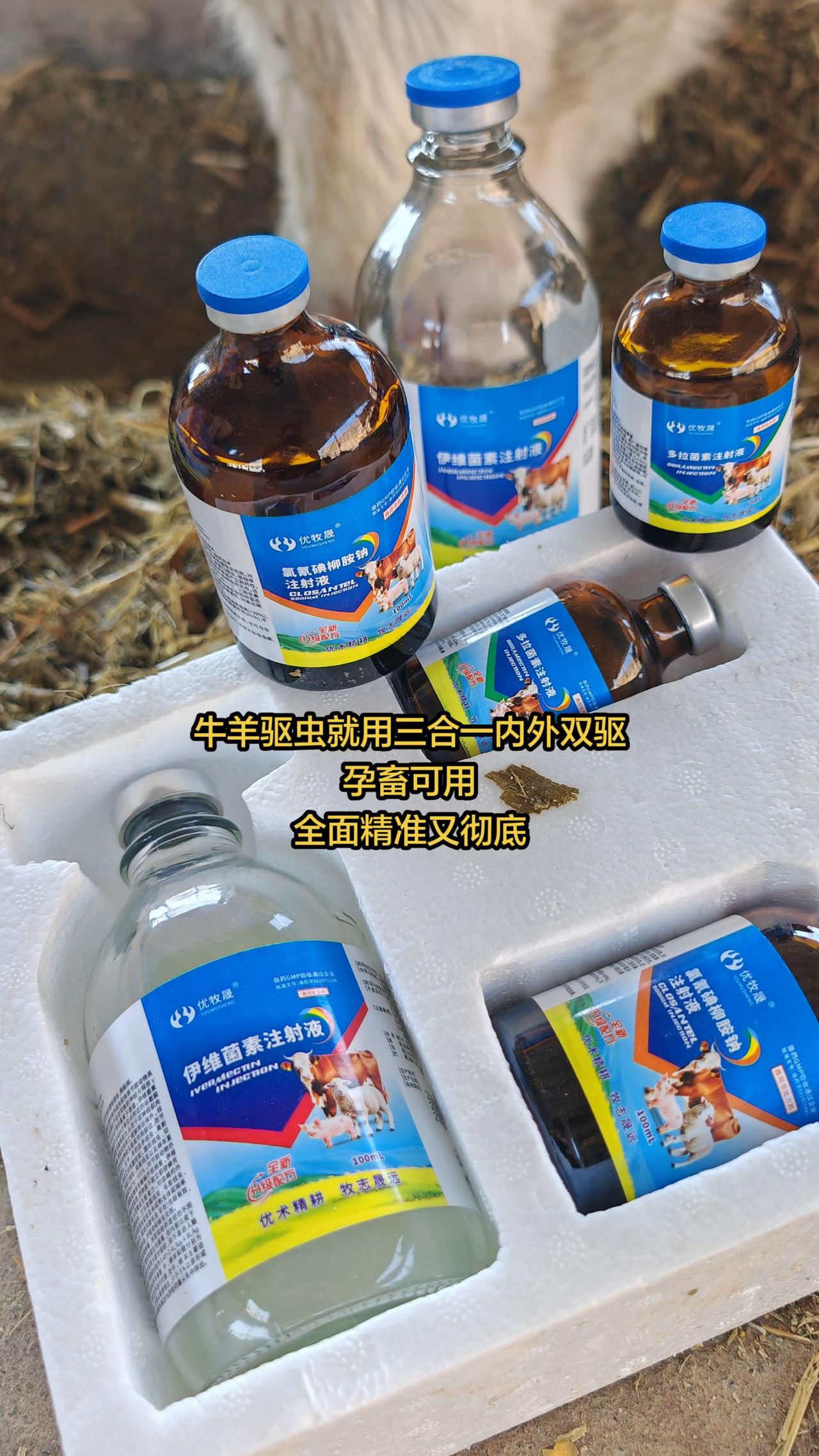 养羊人 农村养羊 牛羊养殖