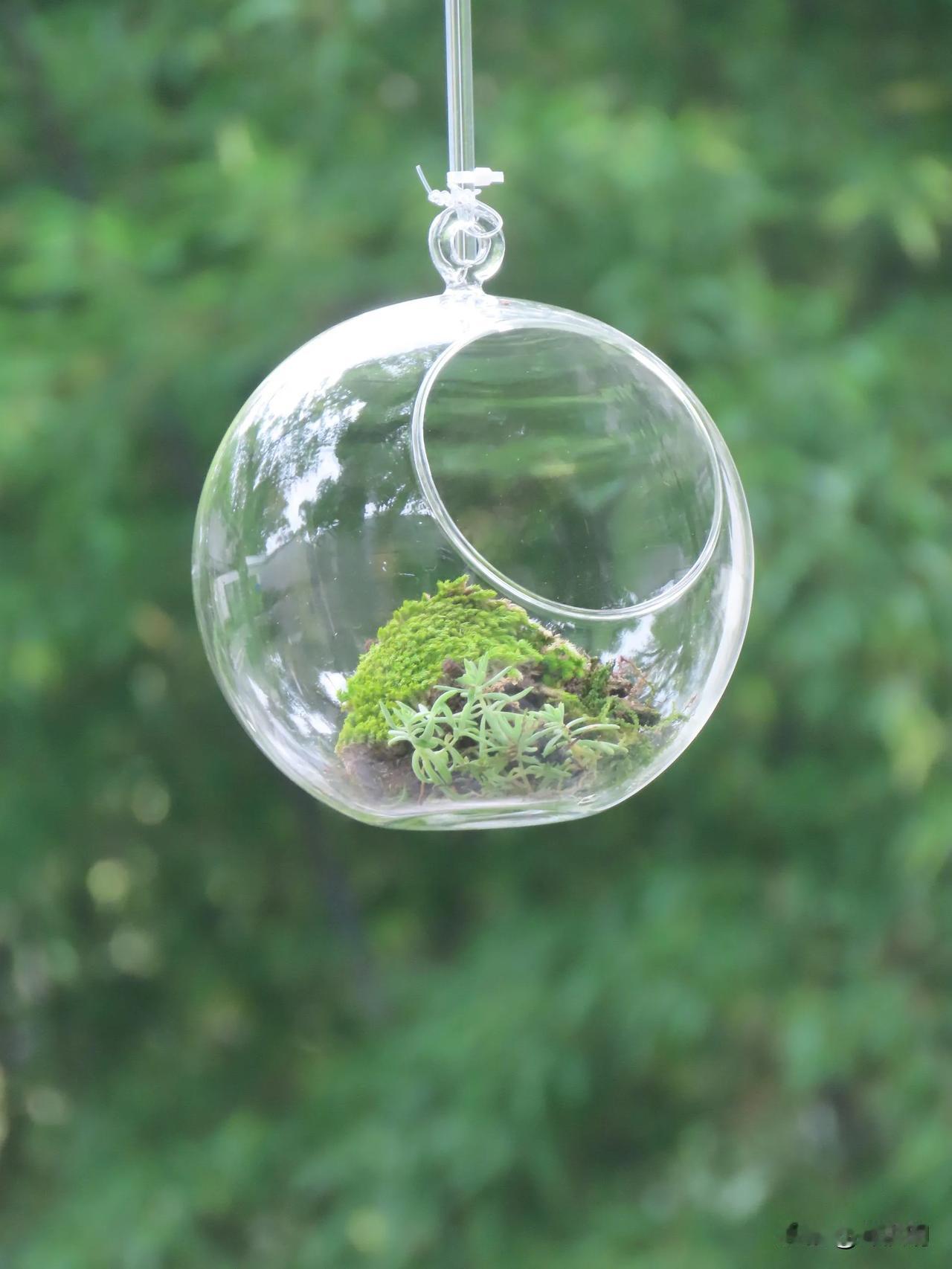 小植物，也里人春天。
宁波园林博物馆