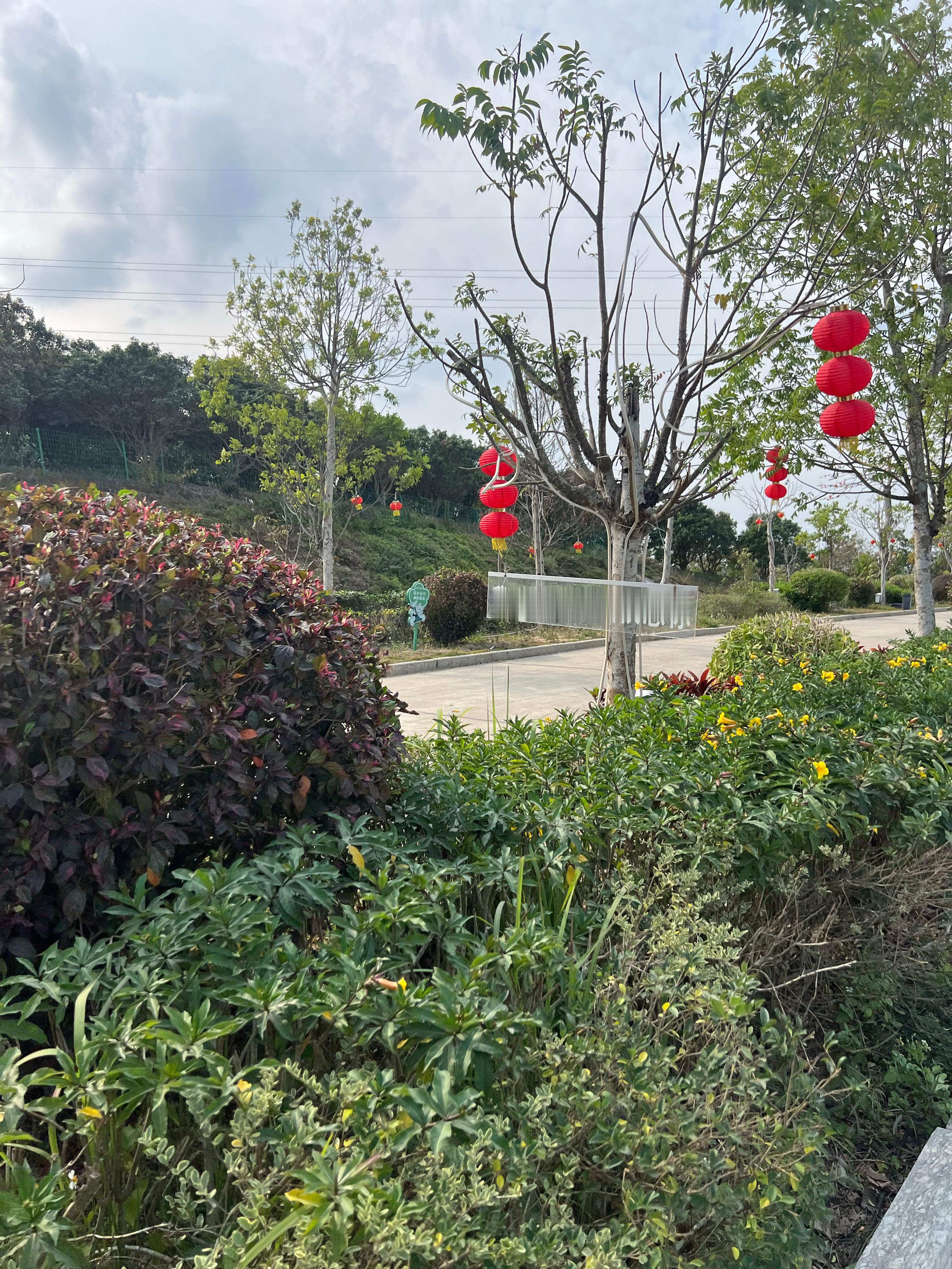 是春天的样子了～本以为这个春节很冷还是带了很多厚衣服回来带了唯一的一件短袖，差点