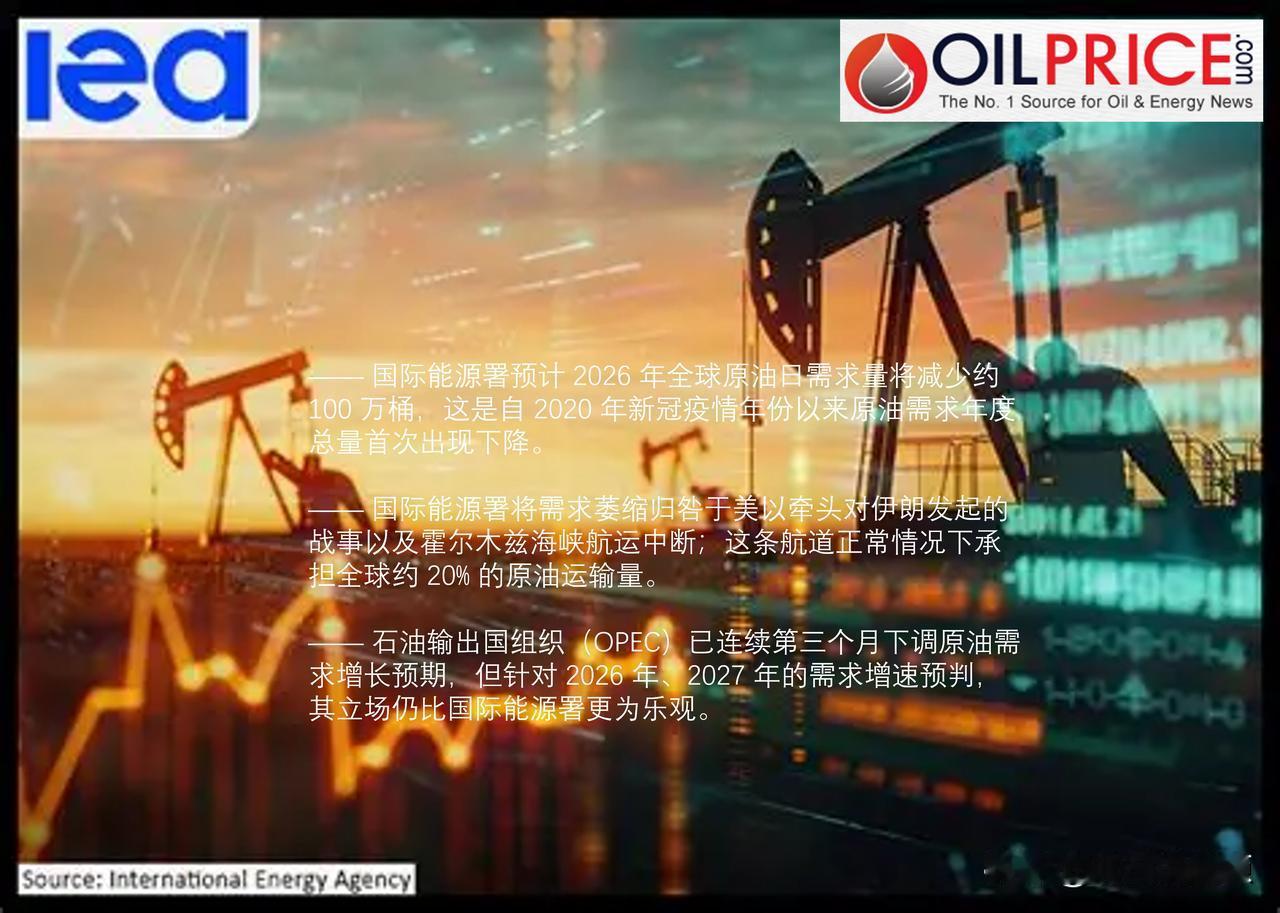 国际能源署预测全球原油需求自 2020 年以来首次下滑

国际能源署（IEA） 