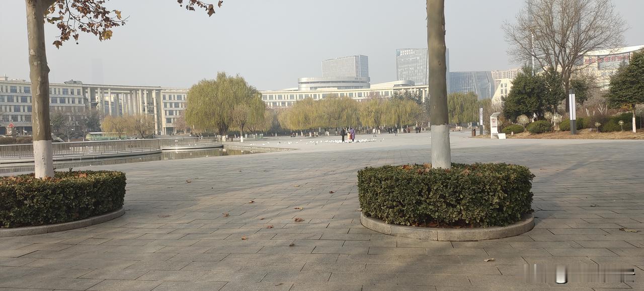 这两天股票又跌去了8000元，看这样，明天还继续下跌，今天减了一半的仓。看明天的