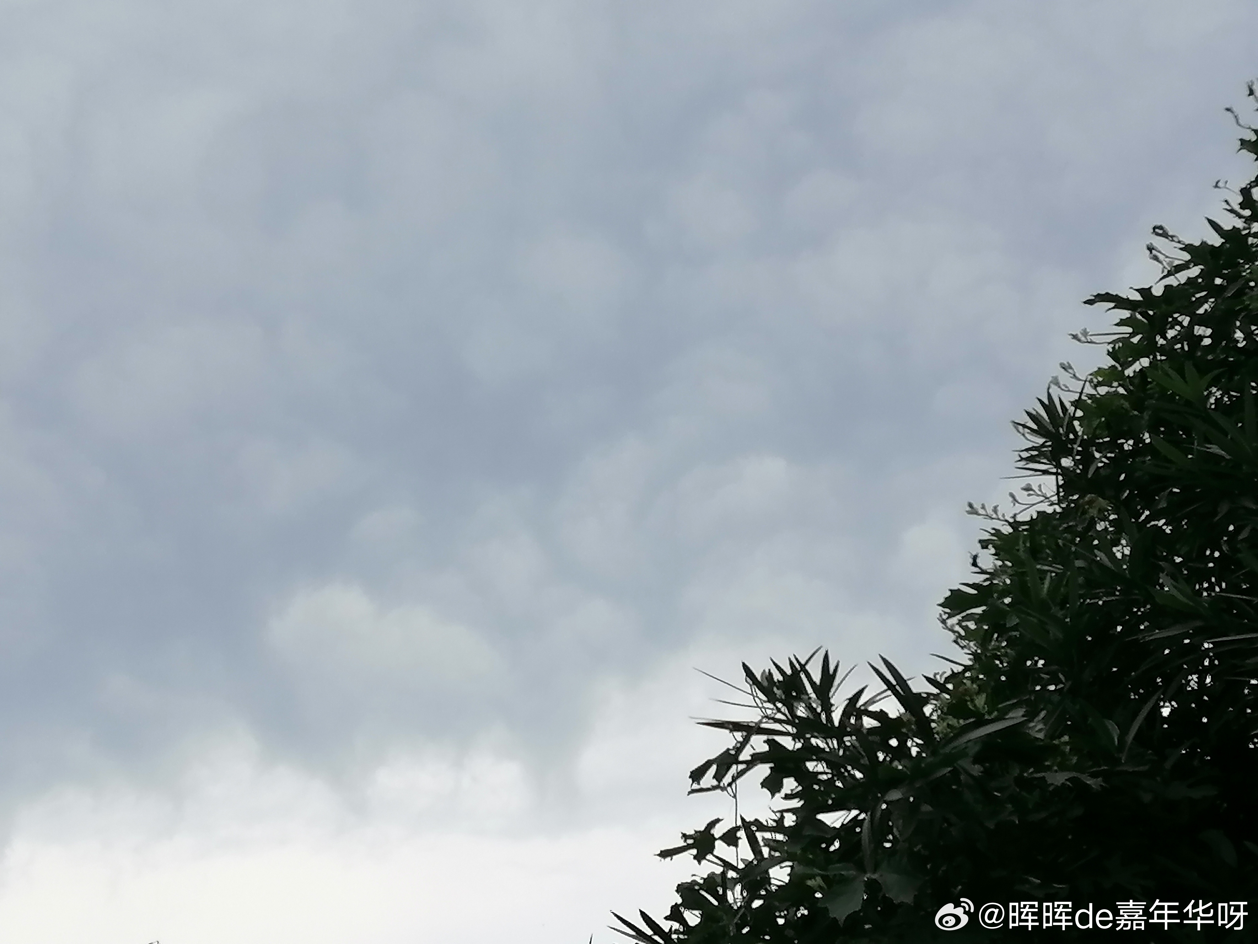 早安[超话] 早安啊假期消耗过半且玩且珍惜 ​​​