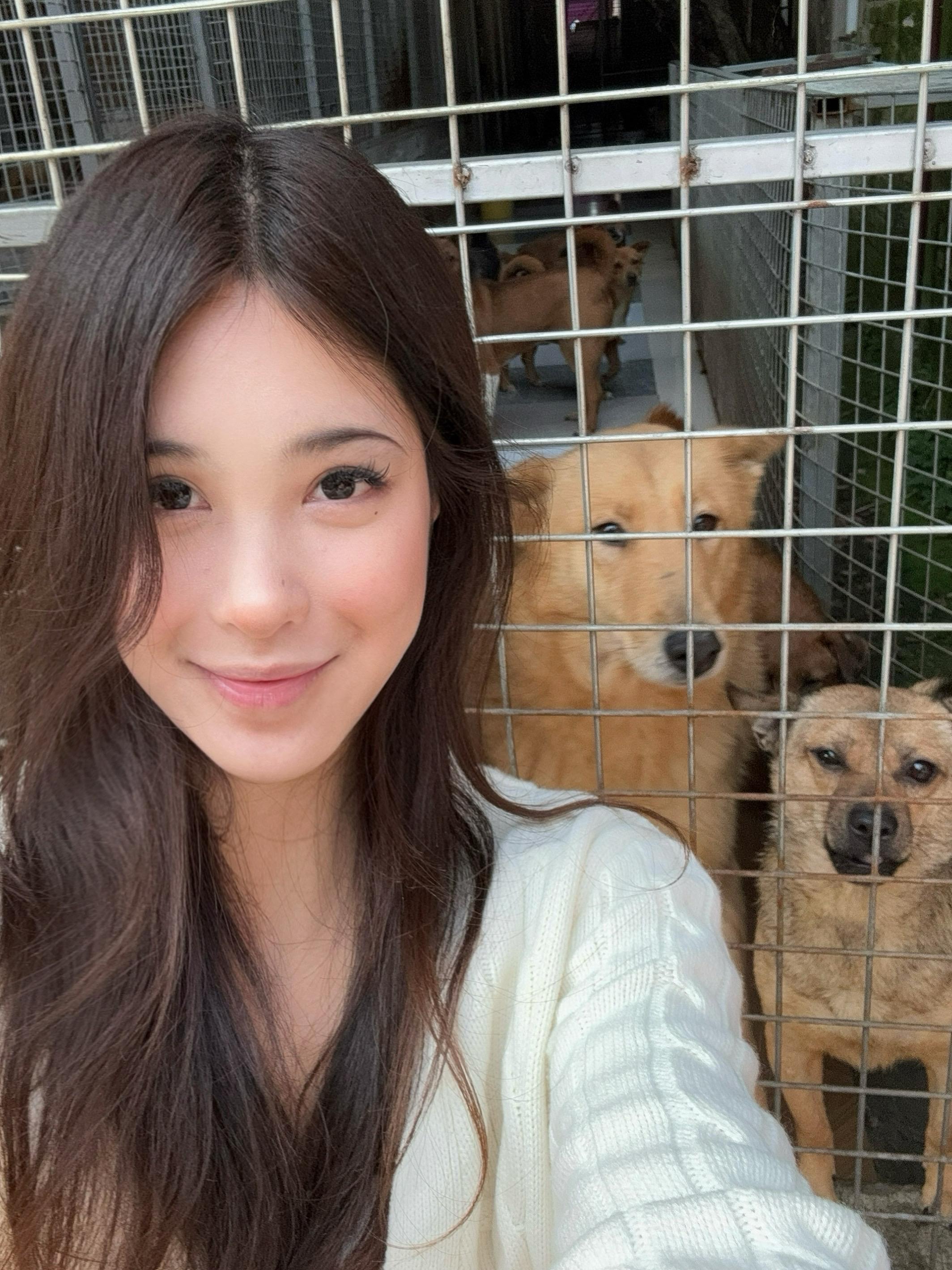 去年八月我们拜访了重庆陈泽华喵汪家园，陈婆婆坚持了三十多年照顾基地里的...