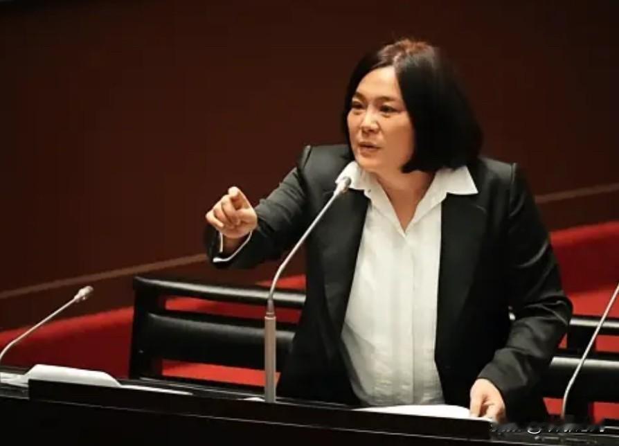 金门立委陈玉珍重磅发声！铁证戳破台独谎言，一中底线不容撼动

2026年1月24