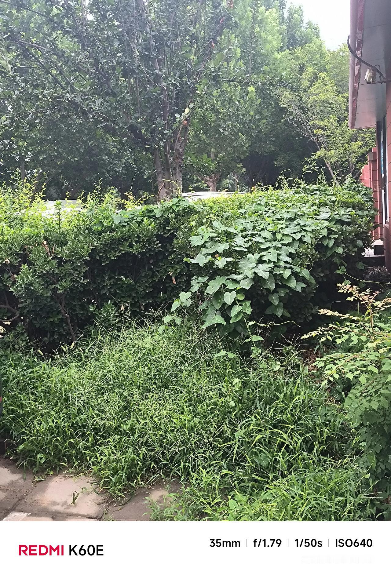 兔子不吃窝边草是″品德高″吗

      人们常用表扬兔子不吃窝边草，来批评有