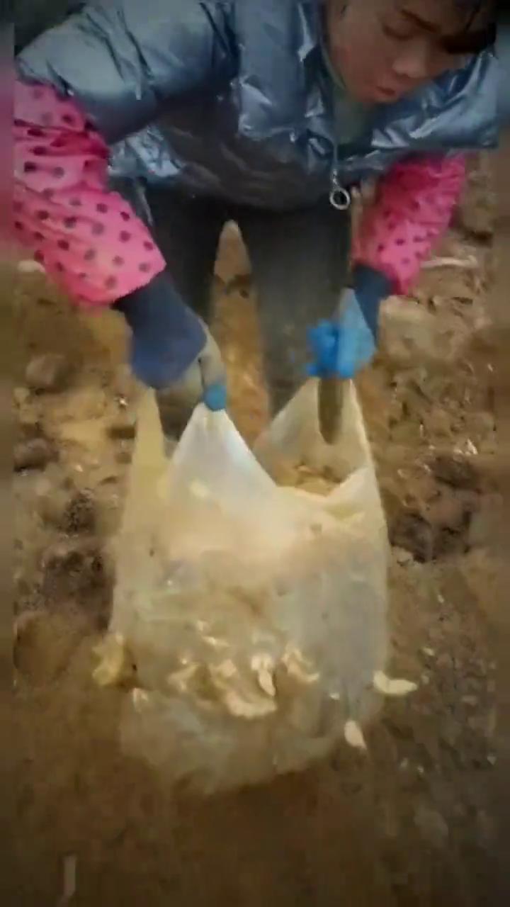 明天、后天，身体上的病都将身体的消失，身体恢复健康。但是一定要把师傅上方的灯点亮
