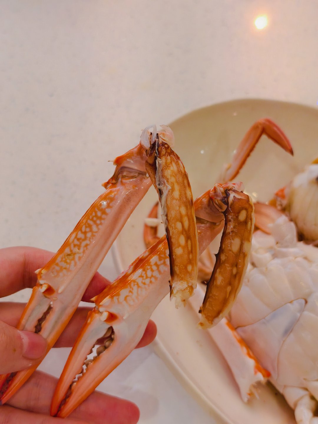 今日份治愈：把菜端上桌，蒸气冒起来那一刻，感觉日子终于回归到它该有的轨道上。不用