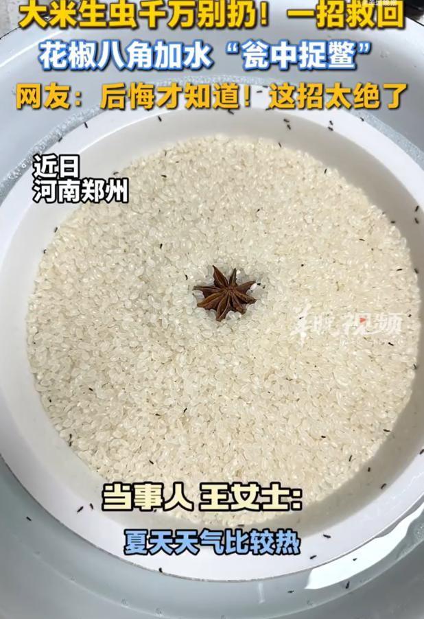 人怎么会这么聪明！河南郑州，一女子发现米缸生虫，但又不舍得扔，灵机一动，就去厨房