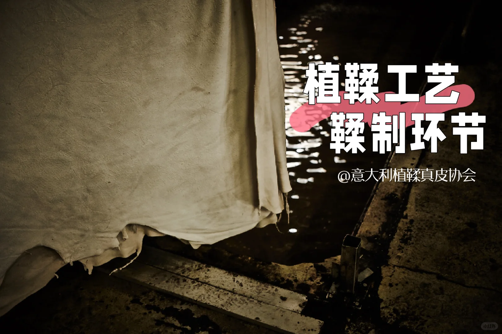 托斯卡纳植鞣工艺｜鞣制环节[一R]