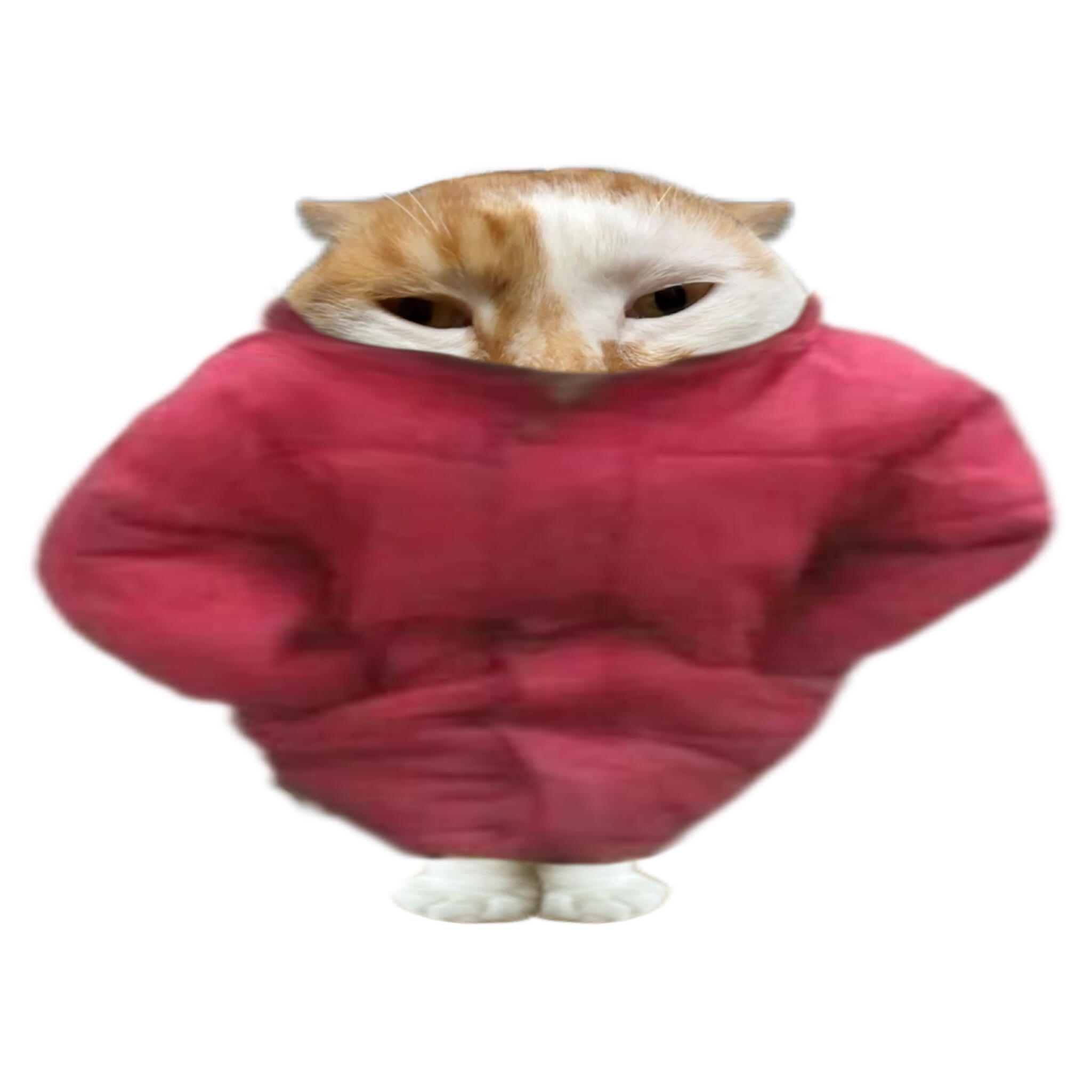 我的演唱会穿搭 主打一个保暖 鱼丝来帮我选一下哪一套最好看 