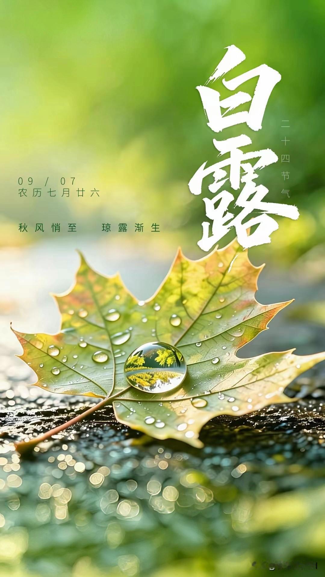 白露为信， 寄来了人间新一季的清欢
愿你我万事顺意 岁岁平安！
秋日生活打卡季