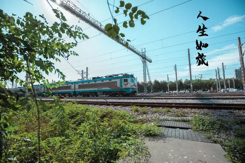 人生这场旅途，切不可只一味地埋头前行。我从前是个不折不扣的工作狂，每日只知拼命工