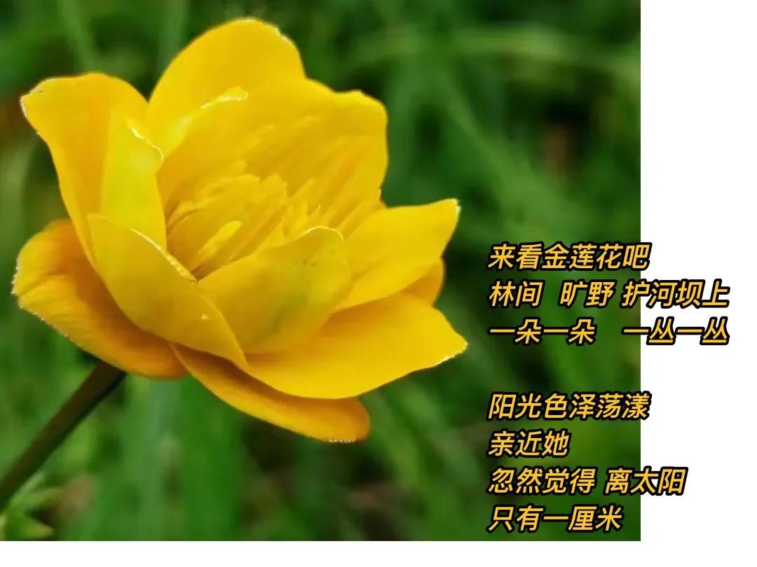 所有美好花朵
离天空近一些吧
．
远离尘嚣
走错那些线路
拿到云端上校对