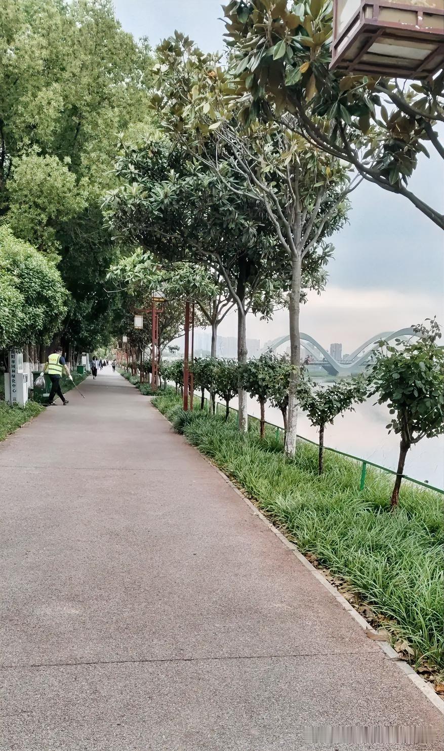 今天闲来无事沿着白河岸边散步，脚下这条平整的步道走起来特别舒服。

路边的小树长