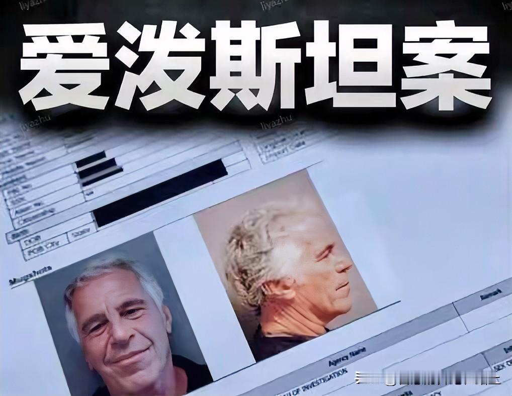 群友看了一圈爱泼斯坦案的相关图片，得出了一个结论：

华裔在美国不配上桌