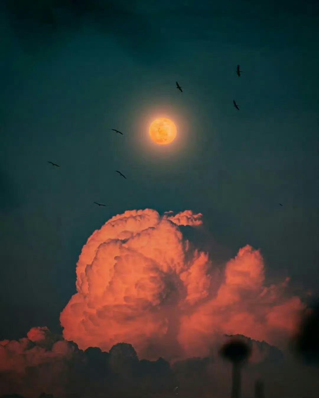 明日大吉，一直操心的事情会往好的方向发展 