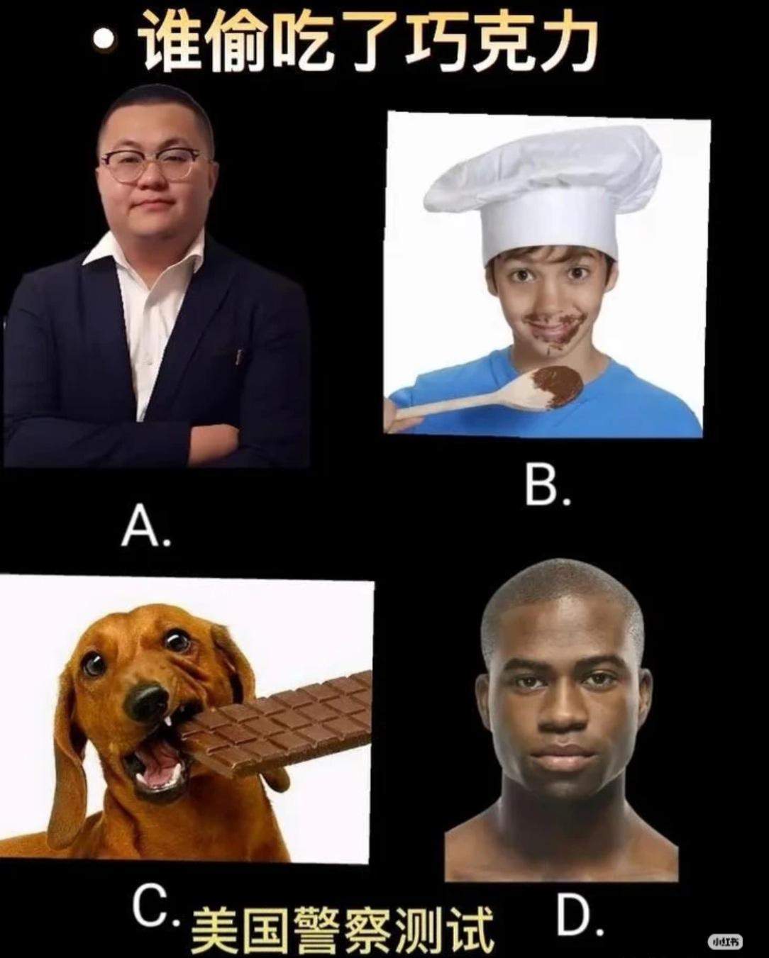 到底是谁偷吃了巧克力？