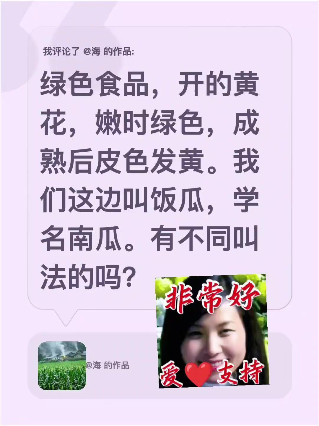 我评论了@海 的作品：绿色食品，开的黄花，嫩时绿色，成熟后皮色发黄。我们这边叫饭