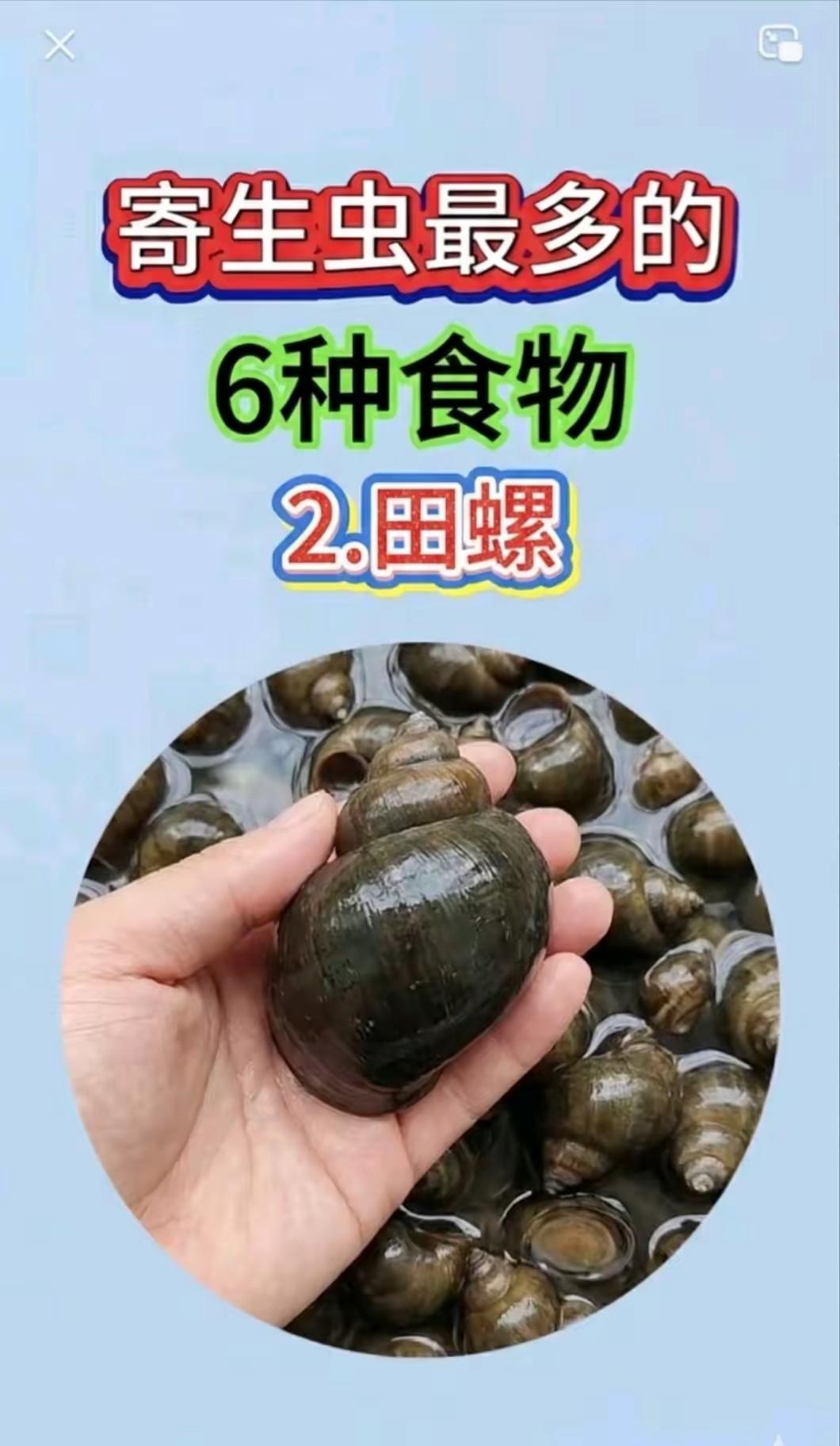 揭秘寄生虫最多的6种食物，田螺上榜！