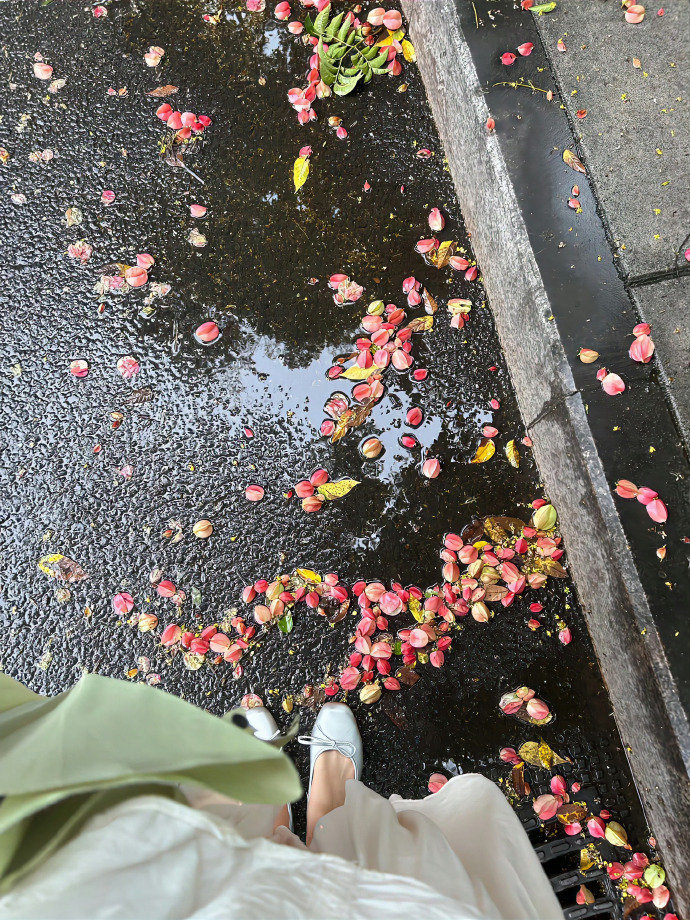 浪漫的栾树惊艳了这个秋天！🍂 ​ ​​​