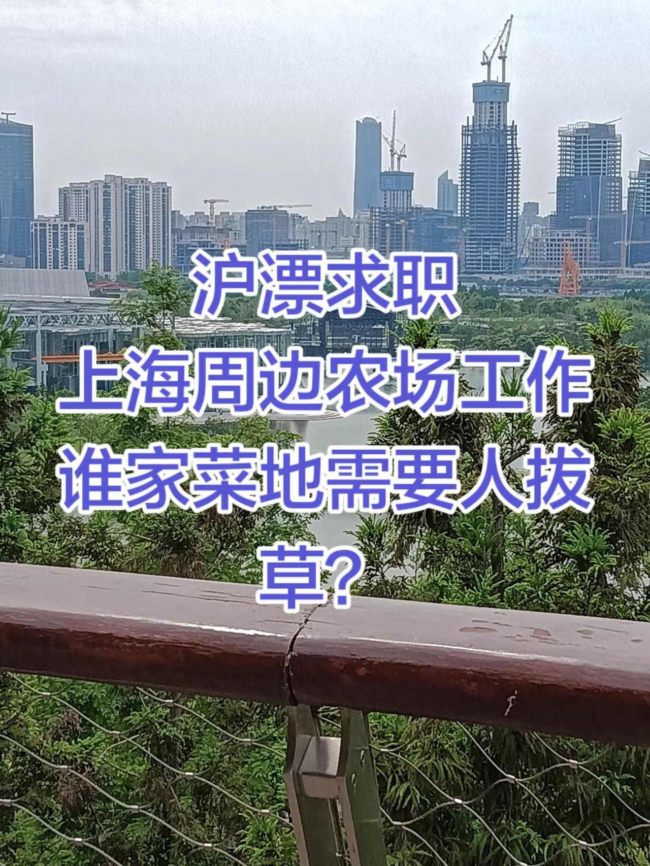 五十岁沪漂，不想在城里，想去村里找工作。
