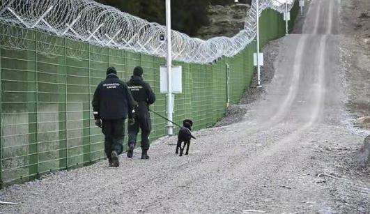 芬兰这个国家挺有意思的，以前害怕俄罗斯入侵，所以，芬兰拼命想加入北约，结果，芬兰