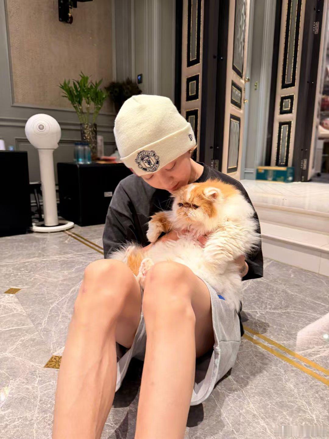 鹿晗晒猫猫狗狗，这也太有爱啦