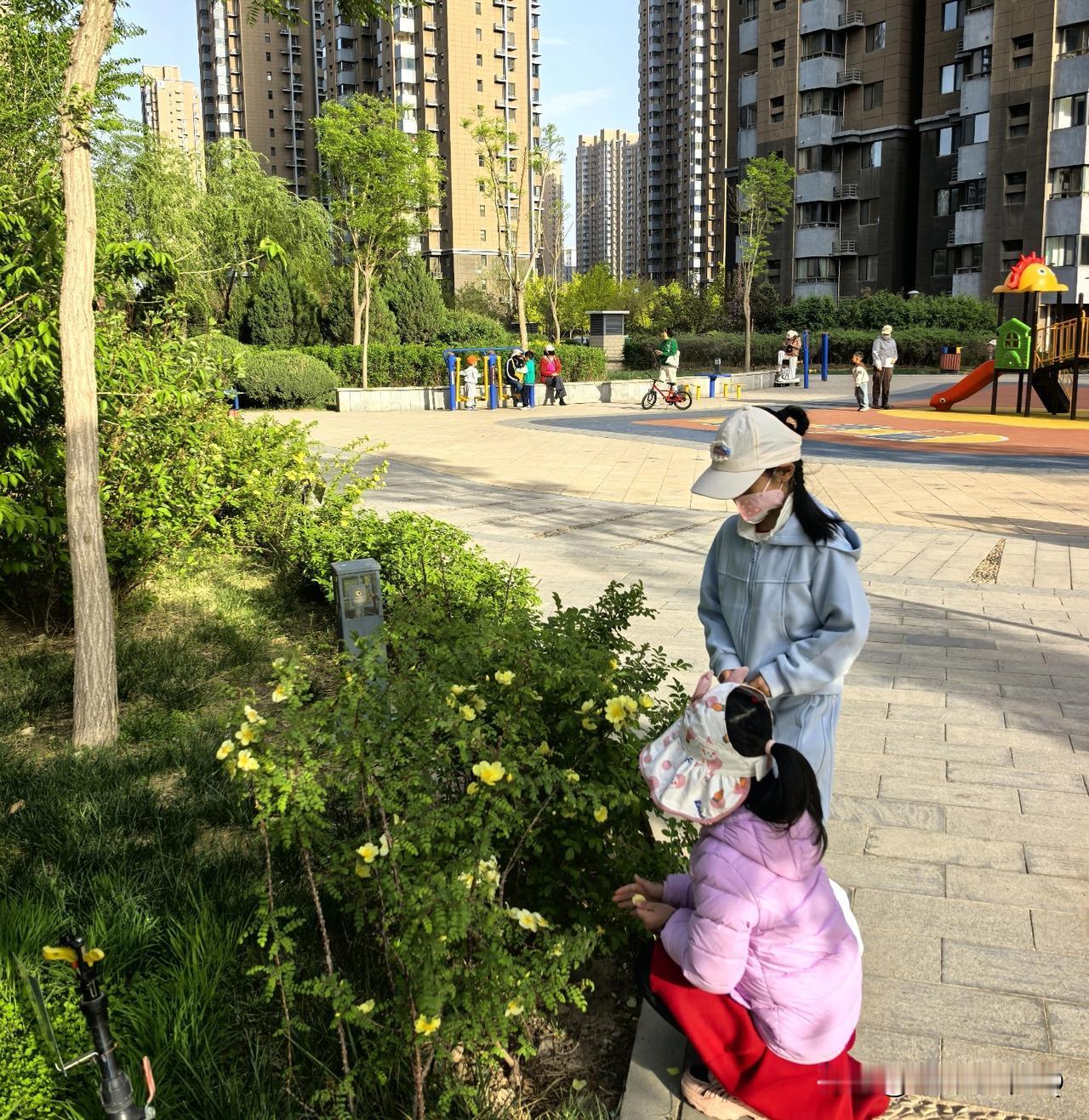 分享一张你家萌娃快乐时光的照片晚春小区里，阳光正好，大人陪着孩子蹲在花旁，静静感