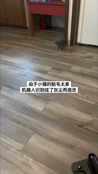扫地机：这把高端局 垃圾会跑 宠物卖萌中心 ​​​