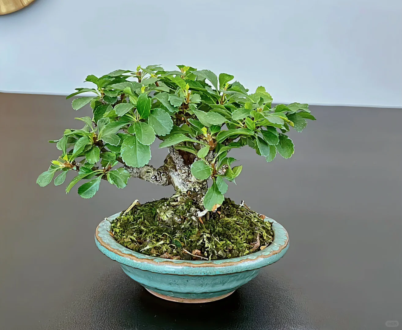 因为遇见～内心越来越柔软