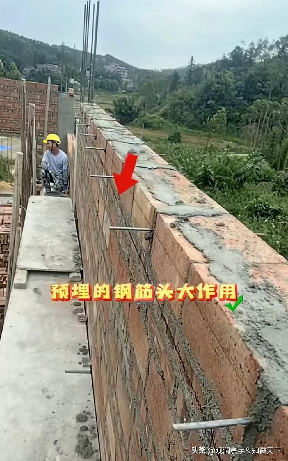 到底什么作用[what]