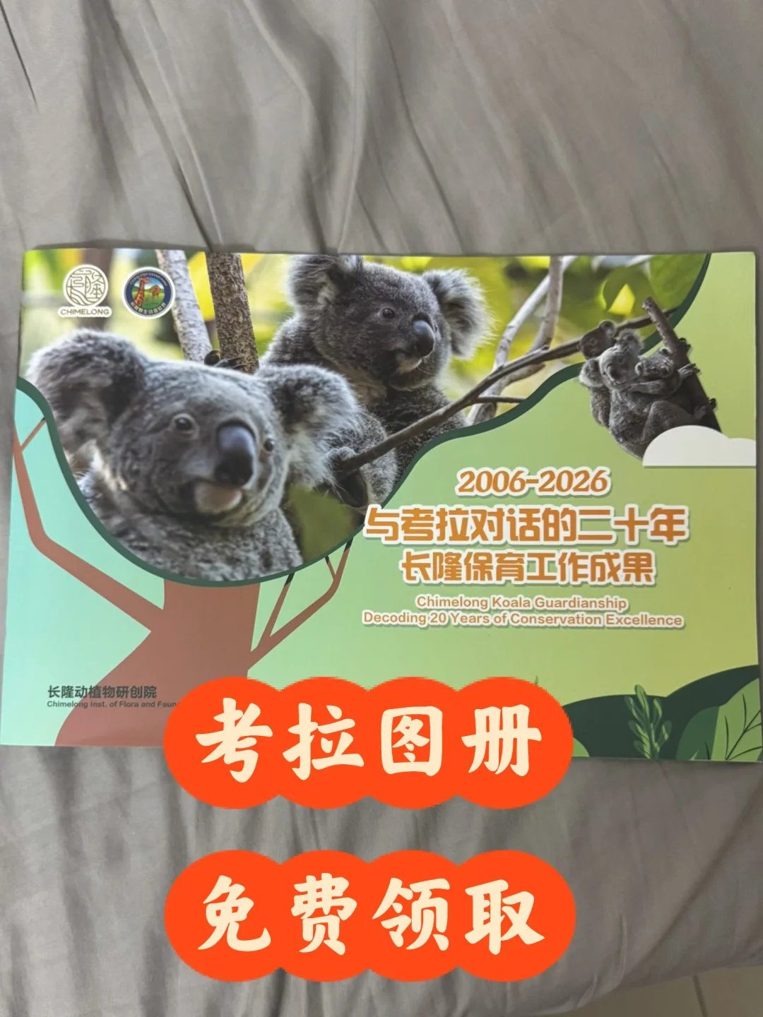 考拉图册免费领取
