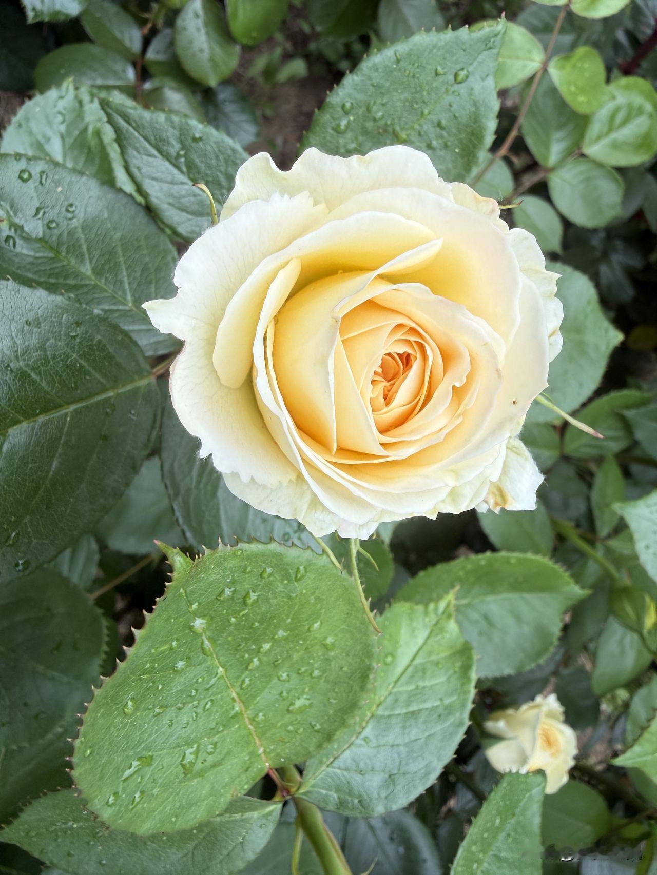 【小对联】
上：……？
下：揭穿。