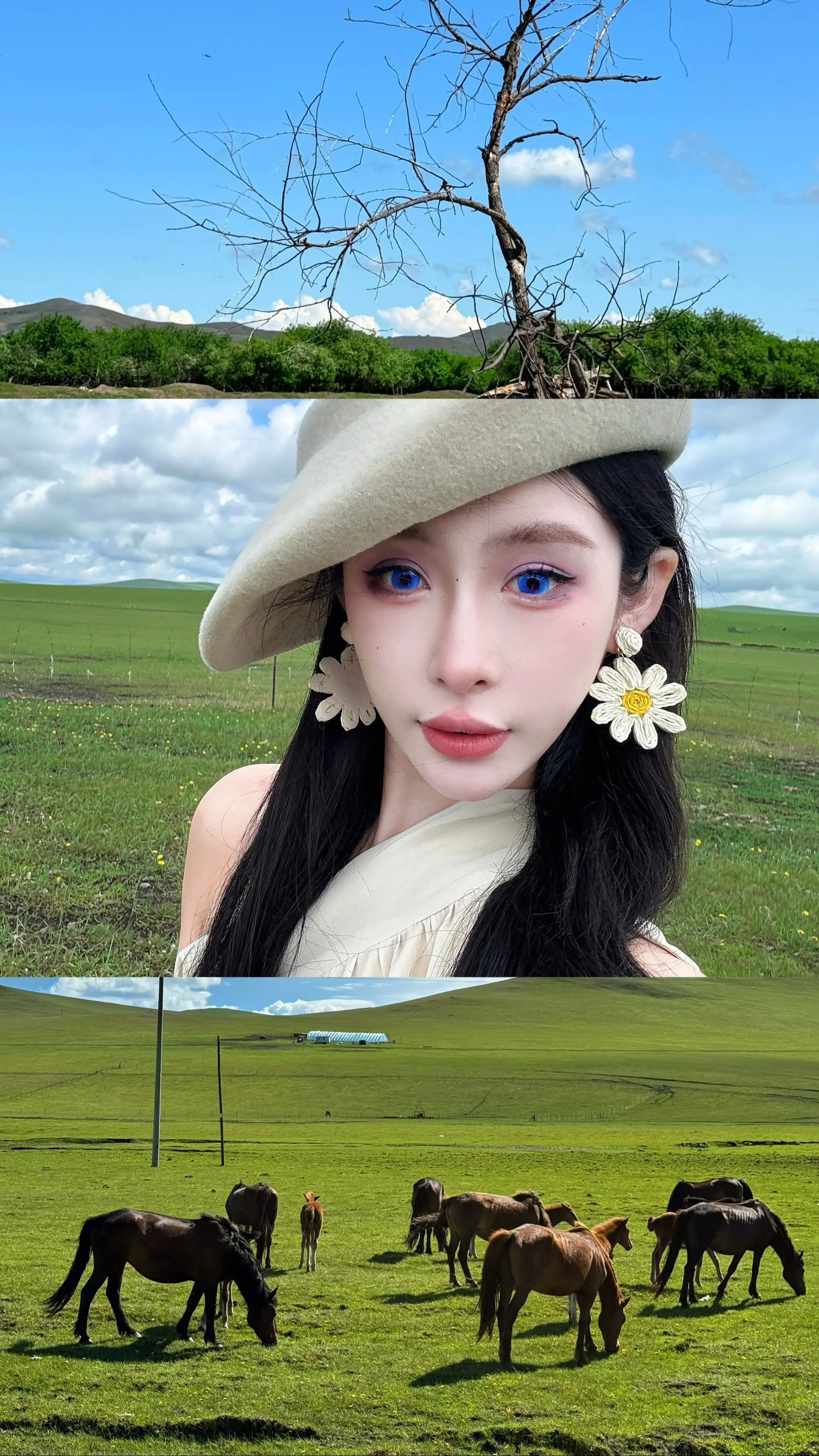 我更爱旺盛又自由的生命力⛰️
